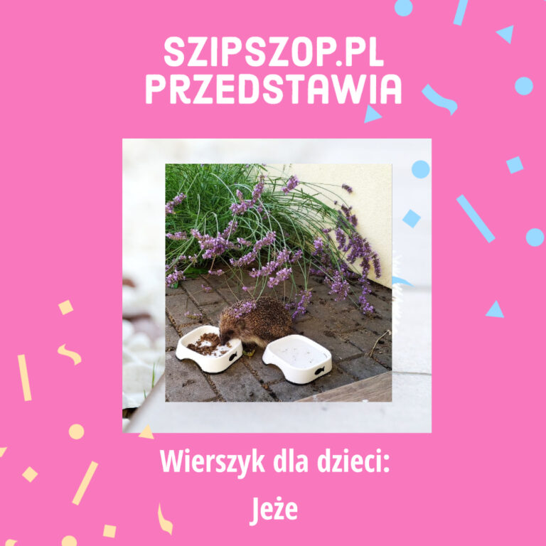 Krótki wierszyk o jeżach dla dzieci Blog SzipSzop pl